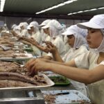 Ho Chi Minhin lähellä Vietnamissa toimiva kalatehdas purkittaa tonnikalaa muun muassa Suomen markkinoille. Tehdas reputti aikanaan eettisyystarkastuksen liiallisten ylitöiden takia. Vietnamissa vapaa ammatillinen järjestäytyminen ei ole sallittua.